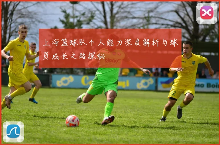 上海篮球队个人能力深度解析与球员成长之路探秘